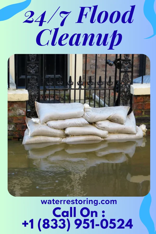 24/7 Flood Cleanup in Argusville, ND