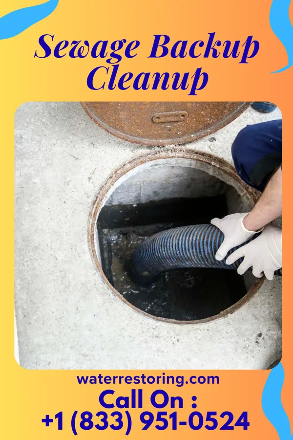Sewage Backup Cleanup in Argusville, ND