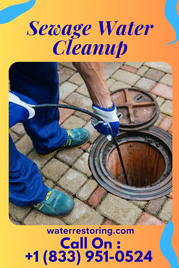 Sewage Water Cleanup in Argusville, ND
