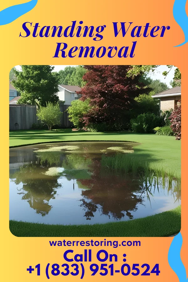 Standing Water Removal in Argusville, ND